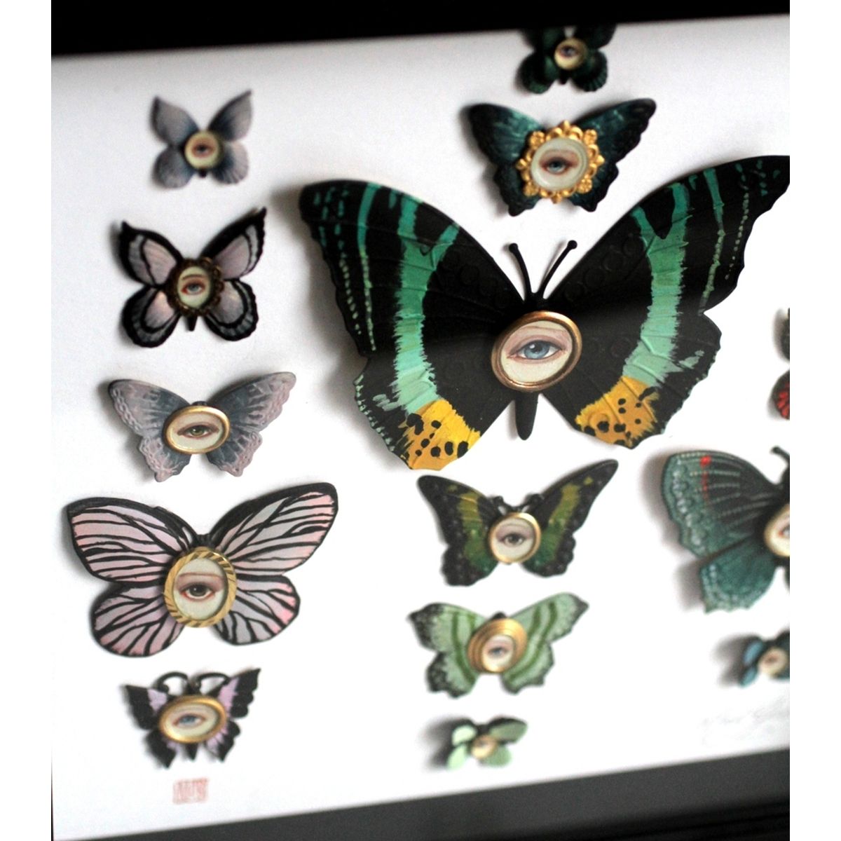 Cabinet of Curiosities Specimen No. 192