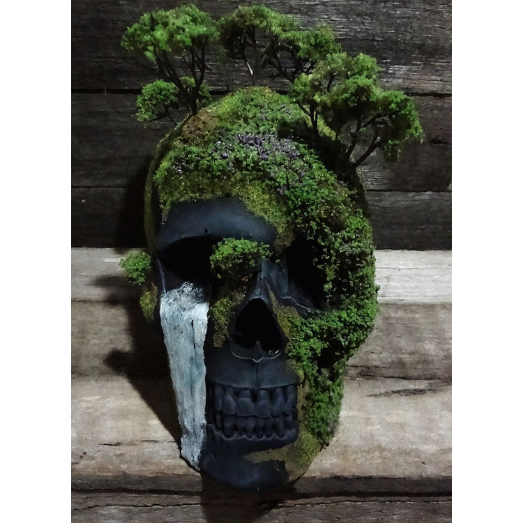 SPRING ON THE HILL TOPS SKULL by Jack of the dust