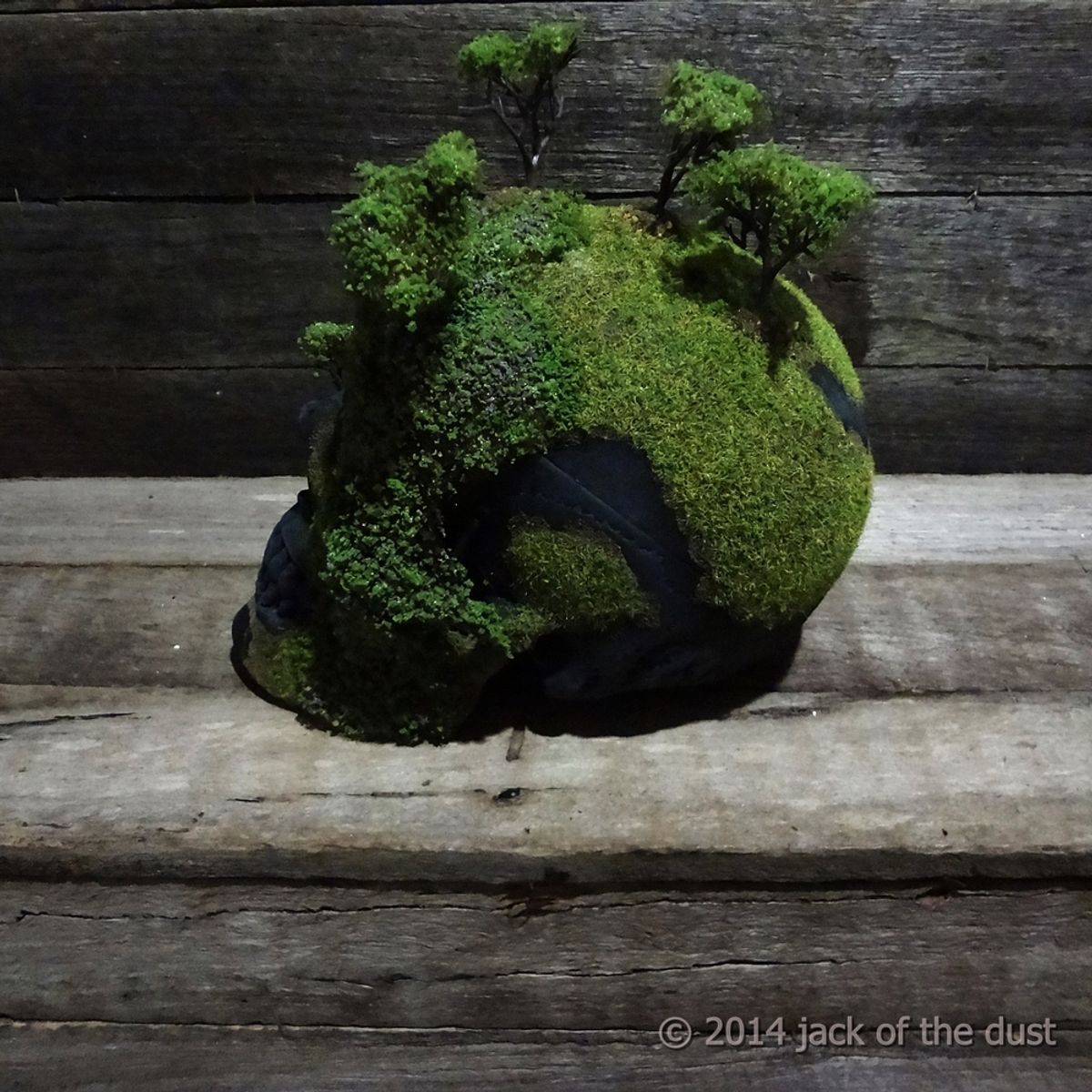 SPRING ON THE HILL TOPS SKULL