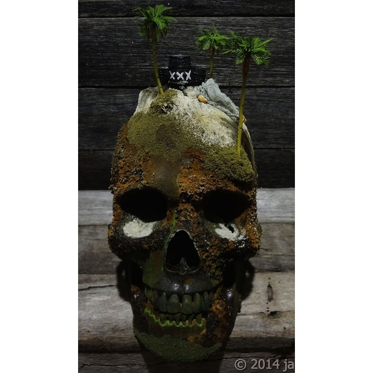 THE CARRIBEAN SKULL by Jack of the dust