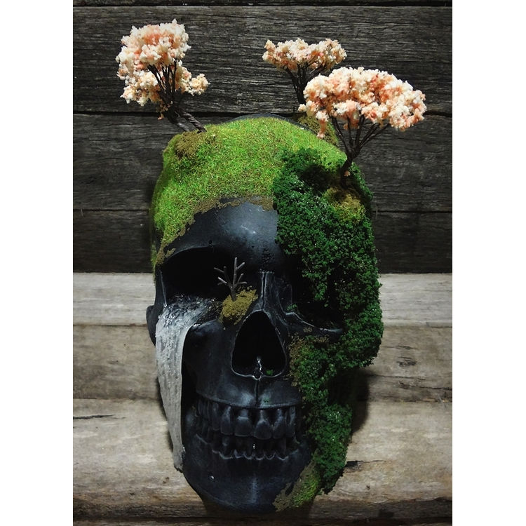 MT FUJI: CHERRY BLOSSOMS SKULL by Jack of the dust