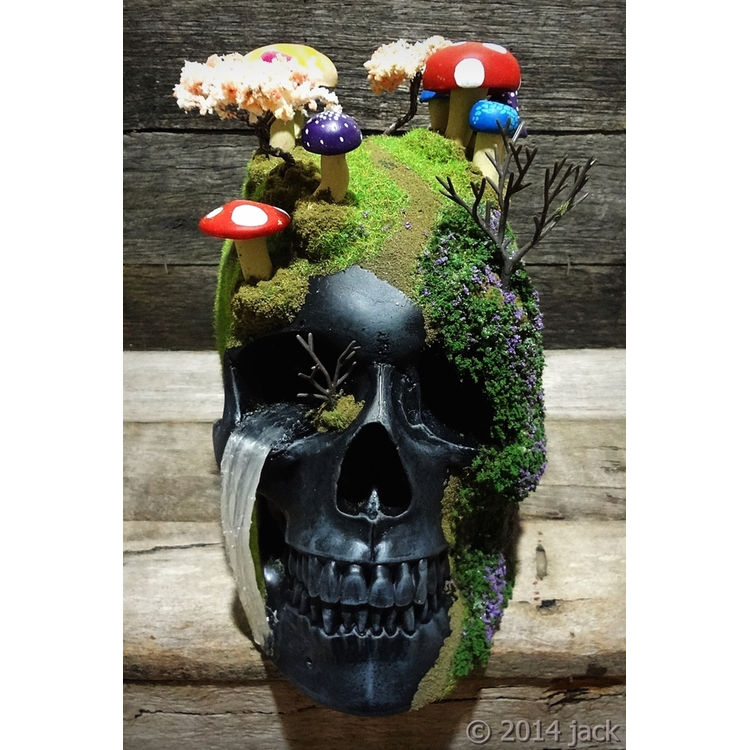DOWN THE RABBIT HOLE SKULL by Jack of the dust
