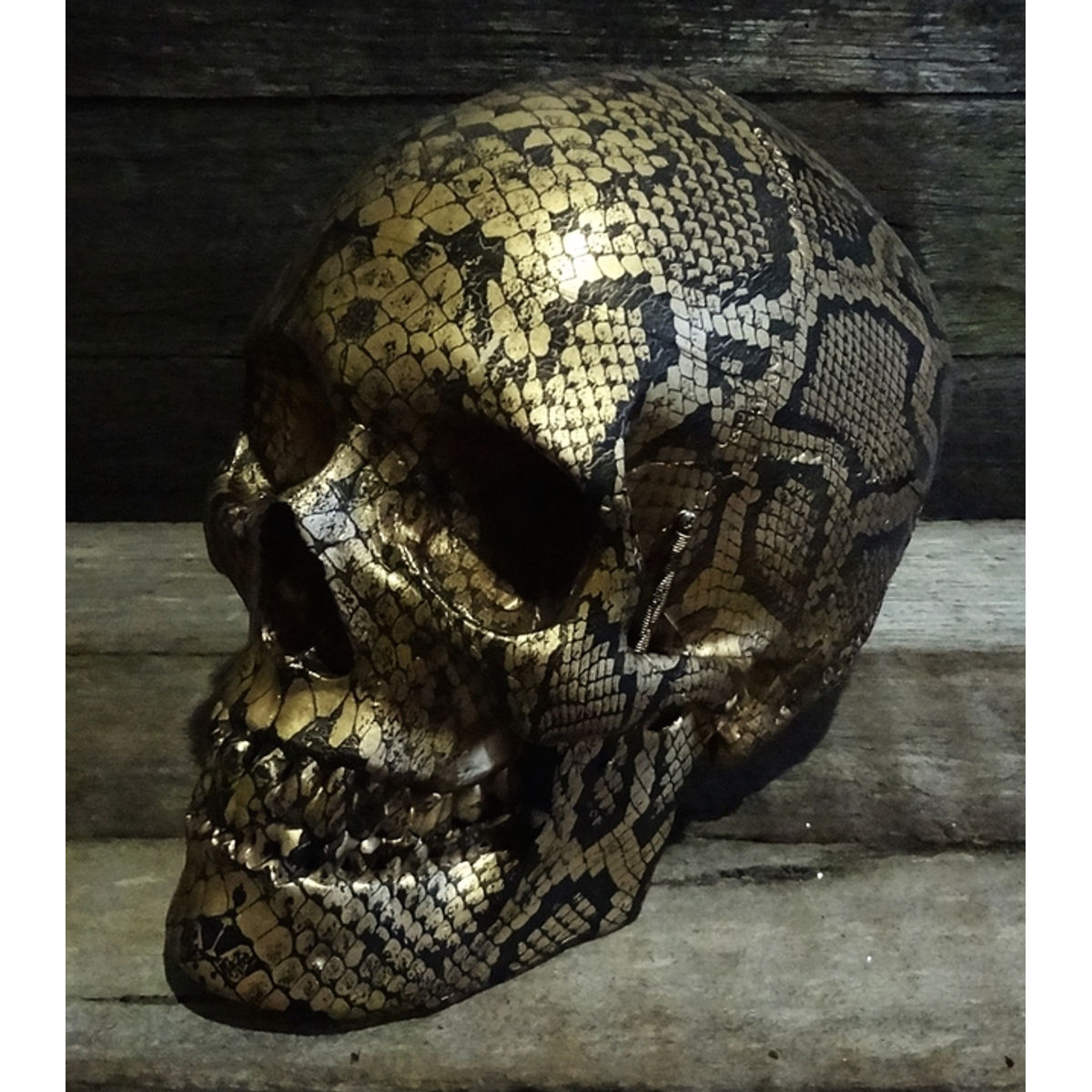 THE GOLDEN SNAKE SKIN SKULL