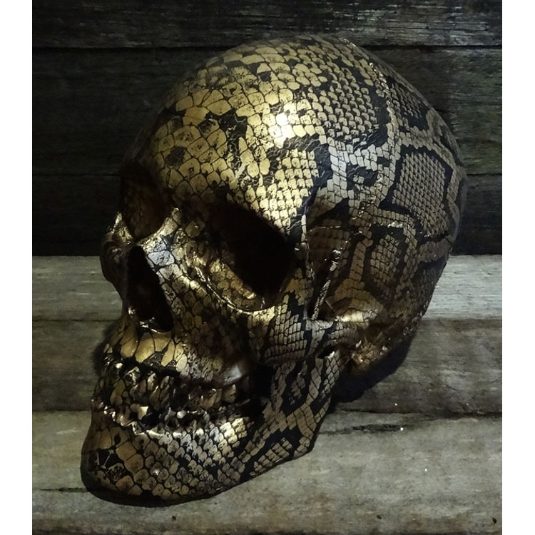 THE GOLDEN SNAKE SKIN SKULL by Jack of the dust