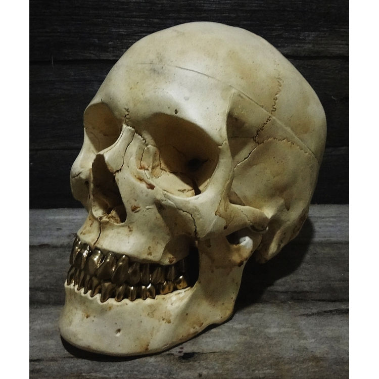 BONE HEAD (GOLDEN GRILLZ) by Jack of the dust
