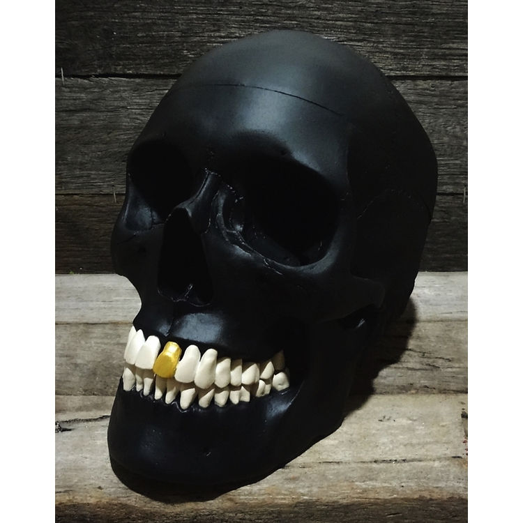 BLACK BEARD SKULL by Jack of the dust