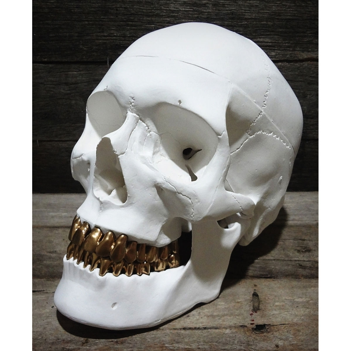 ALBINO GRILLZ SKULL