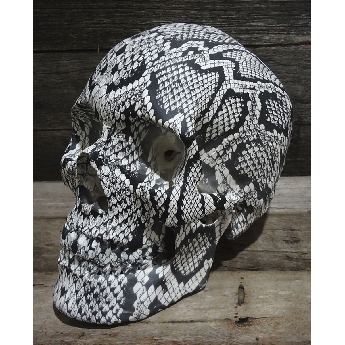 ALBINO SNAKE SKIN SKULL