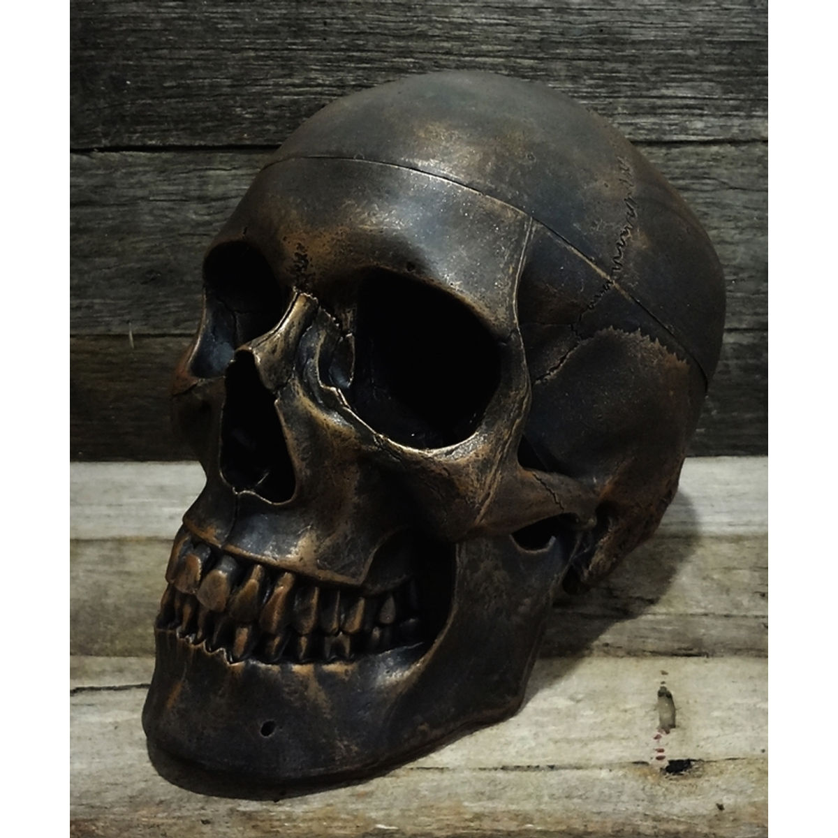 PETINA BRONZE SKULL