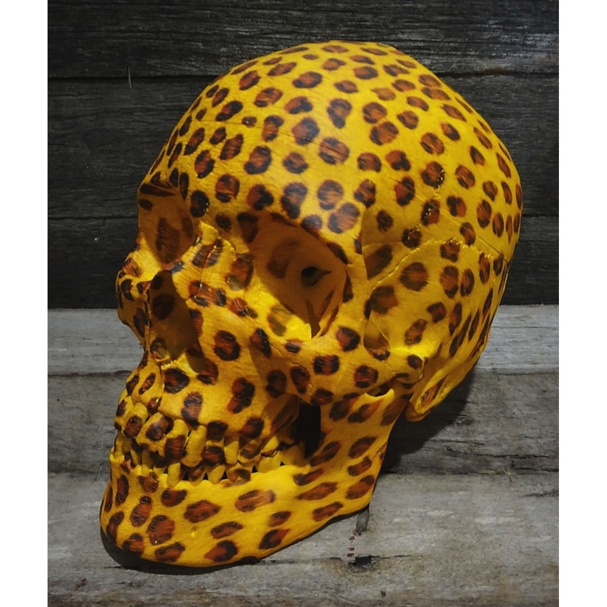 DEATH LEOPARD SKULL