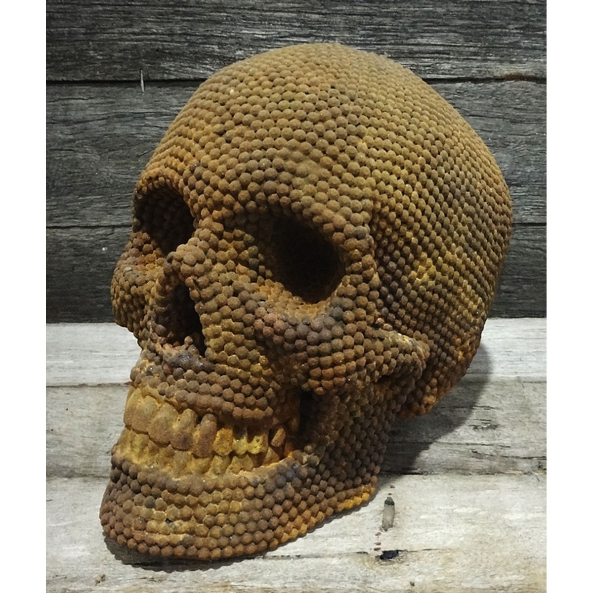 THE DEEP SEA MINE SKULL