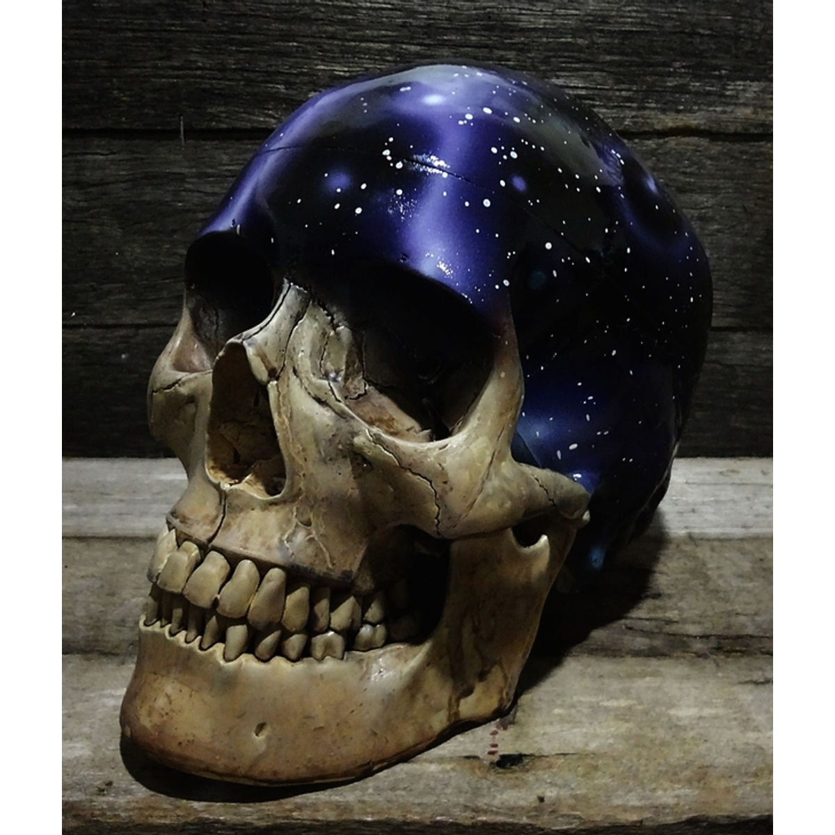 THE UNIVERSE SKULL