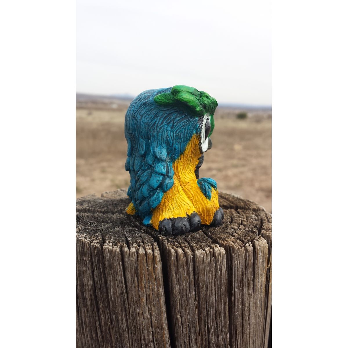 "Rainforest Pride" OWLBEAR Babby