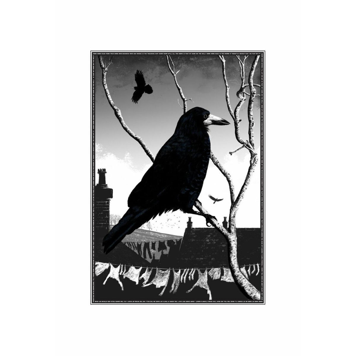 Rook
