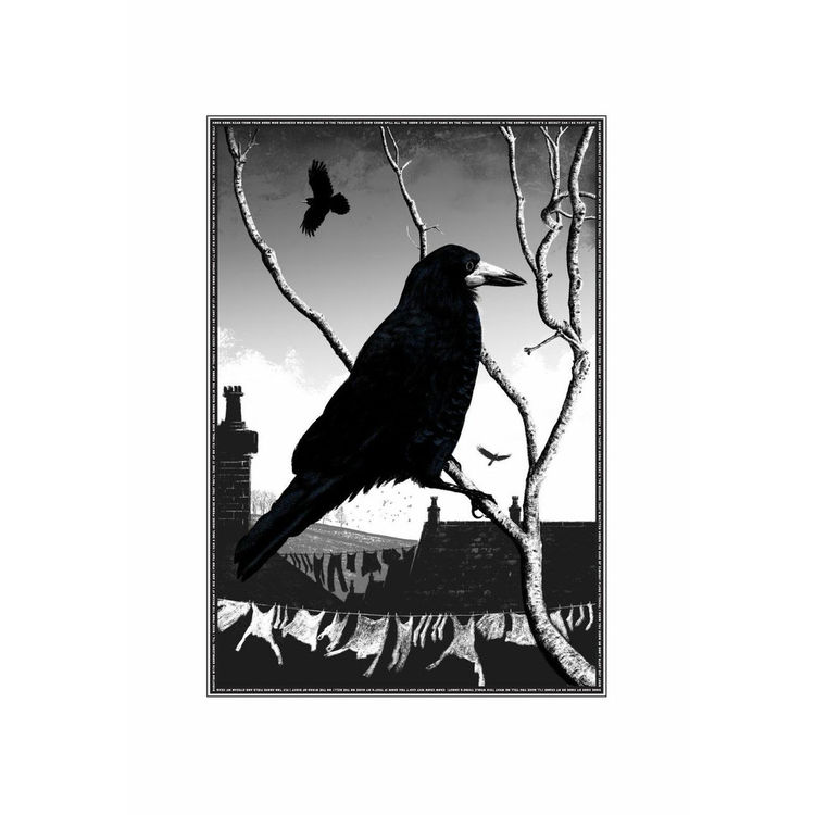 Rook by Andrew Swainson