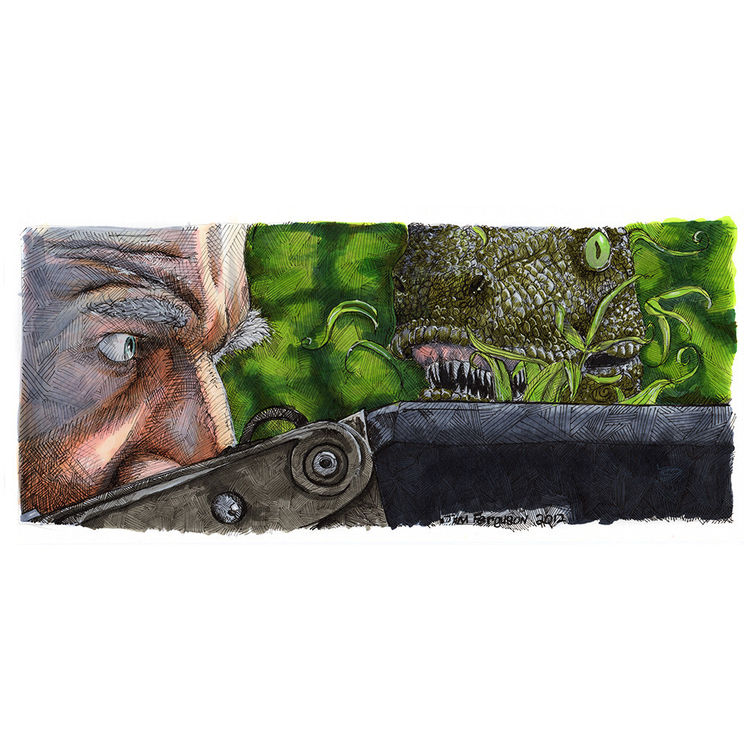 Clever Girl by Jim Ferguson