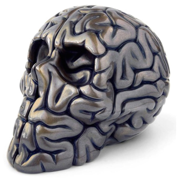 Bronze Skullbrain by Emilio Garcia