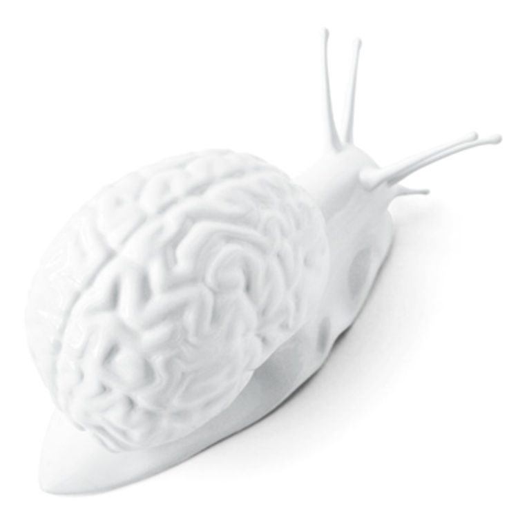 Mini Snail Brain by Tokyoplastic