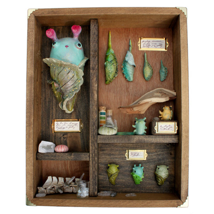 Curiosity Cabinet #2 (Cocoons) by Sawdust Bear (Shing Yin Khor)