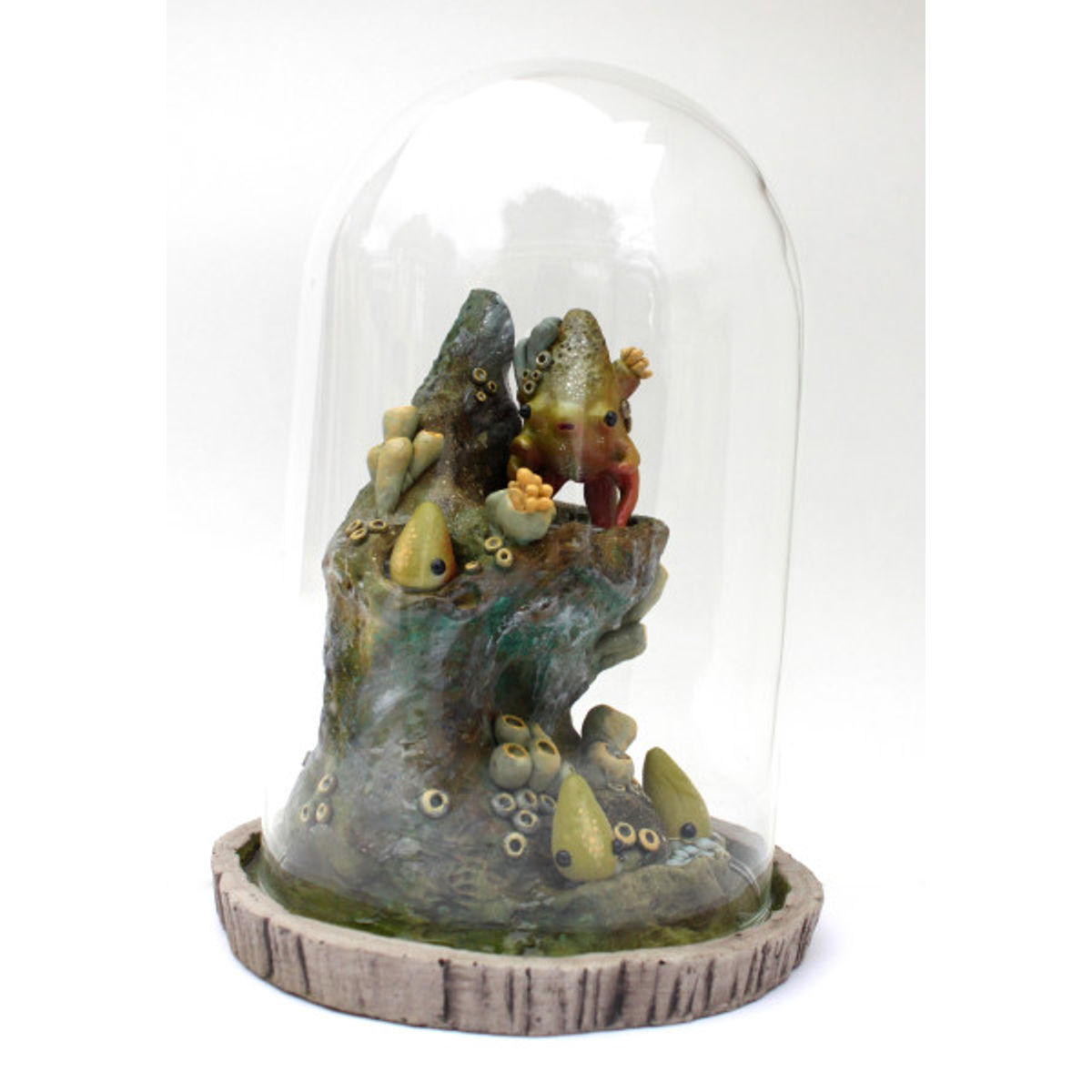 Reef Coneheaded Dorbal