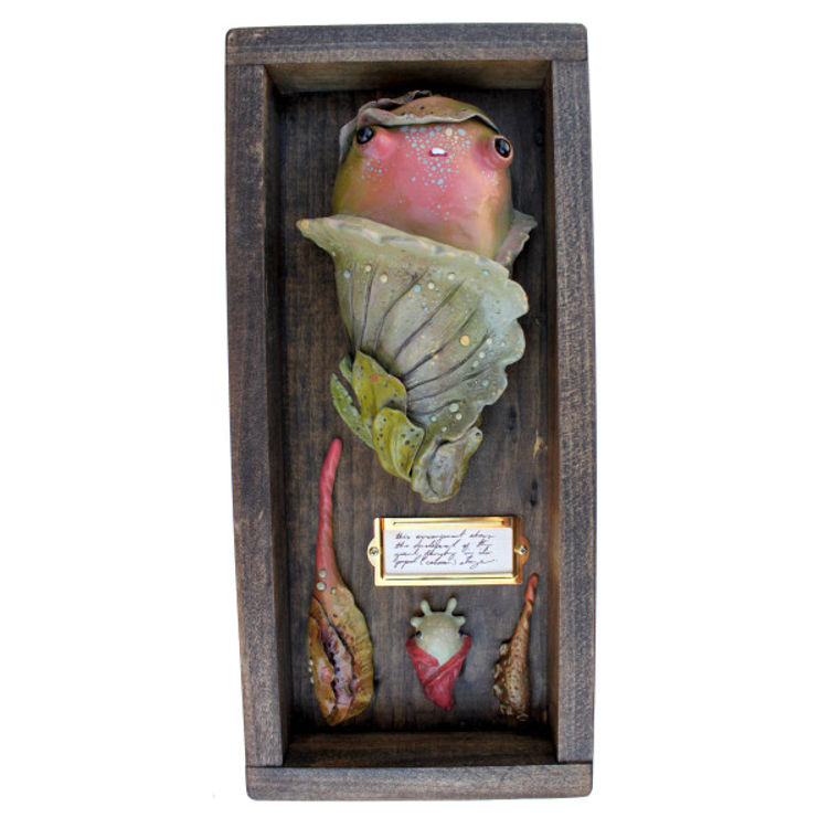 Cocoon Arrangement #1 by Sawdust Bear (Shing Yin Khor)