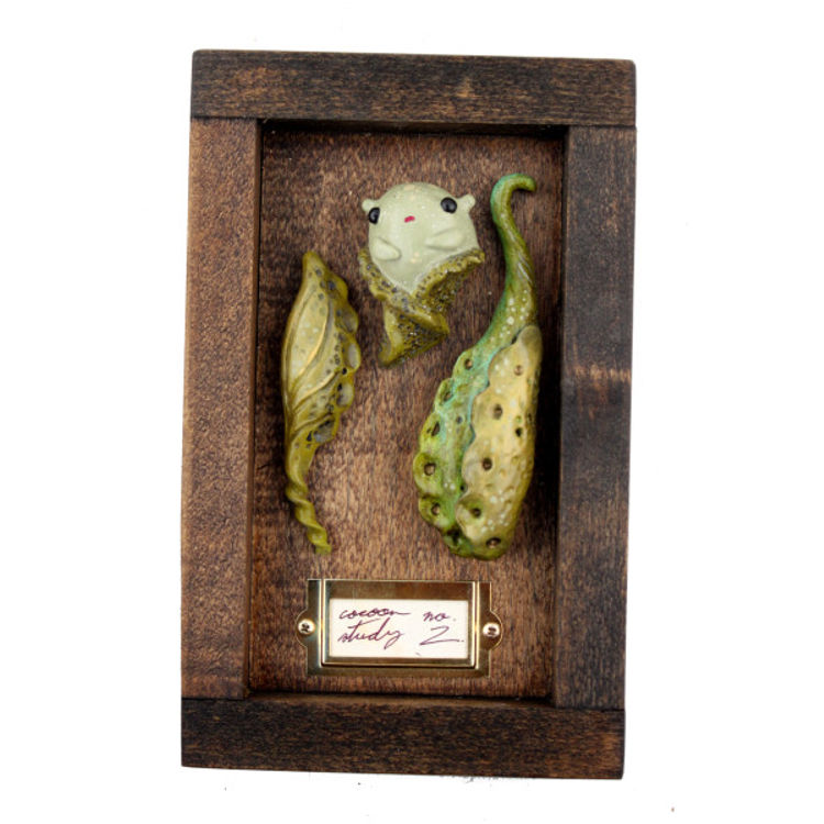 Cocoon Study #2 by Sawdust Bear (Shing Yin Khor)