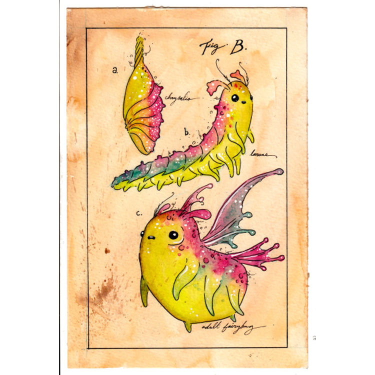 Fairybug Lifecycle Study 1 (Fig B) by Sawdust Bear (Shing Yin Khor)
