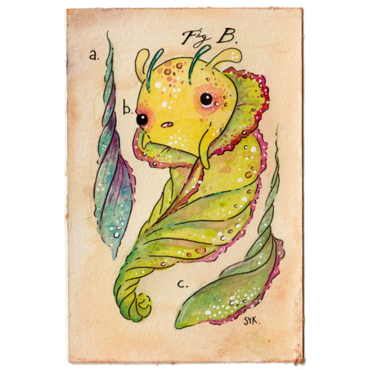 Fairybug Cocoon Fig B.