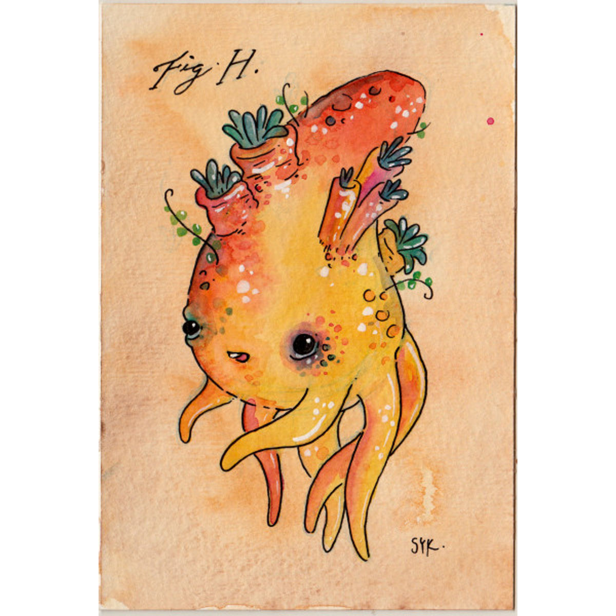 Reef Coneheaded Dorbal