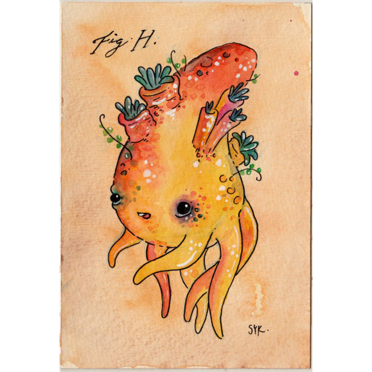 Reef Coneheaded Dorbal by Sawdust Bear (Shing Yin Khor)