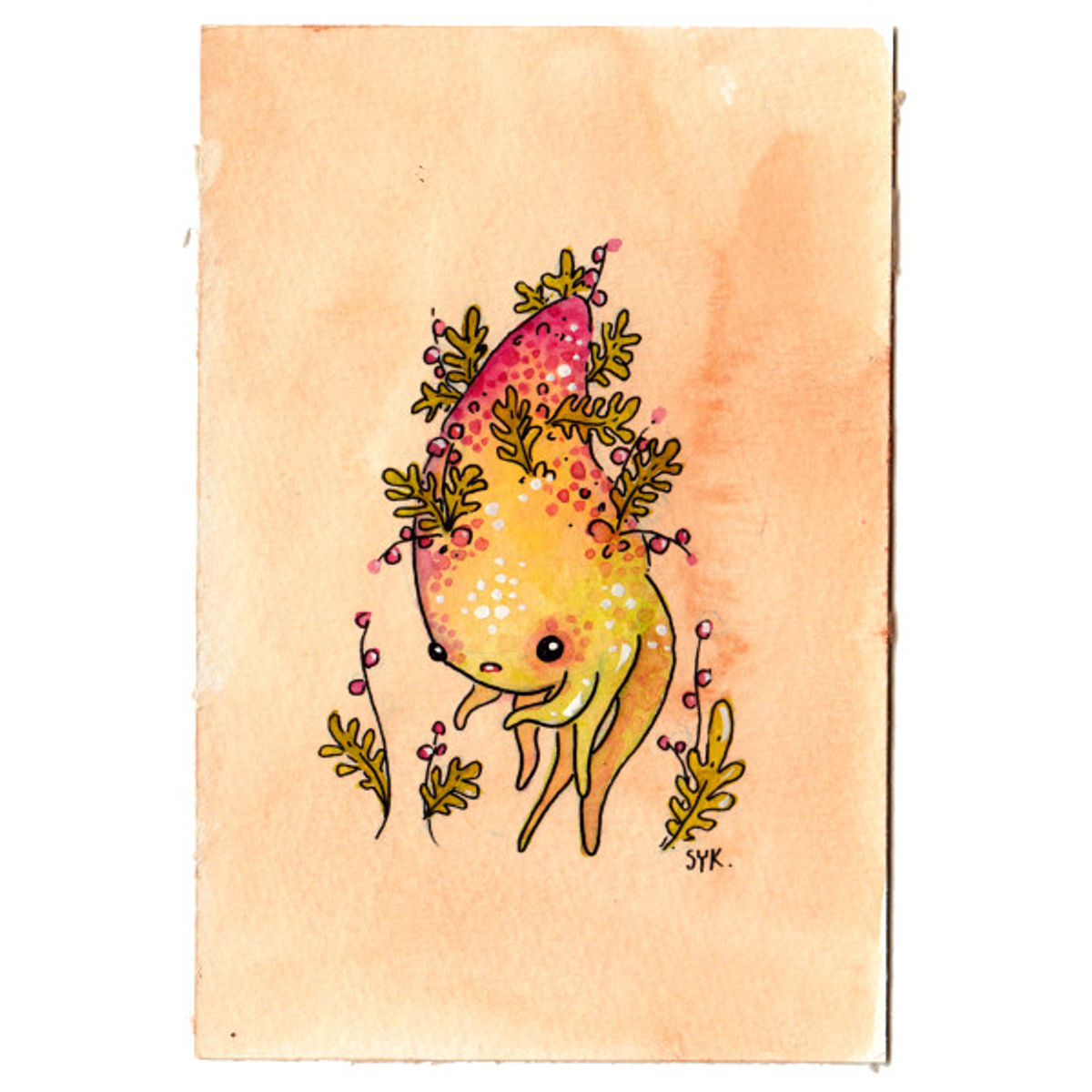 Ferny Coneheaded Dorbal