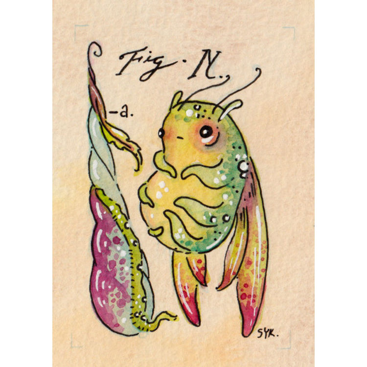 Fairybug Cocoon Study 2 (N) by Sawdust Bear (Shing Yin Khor)