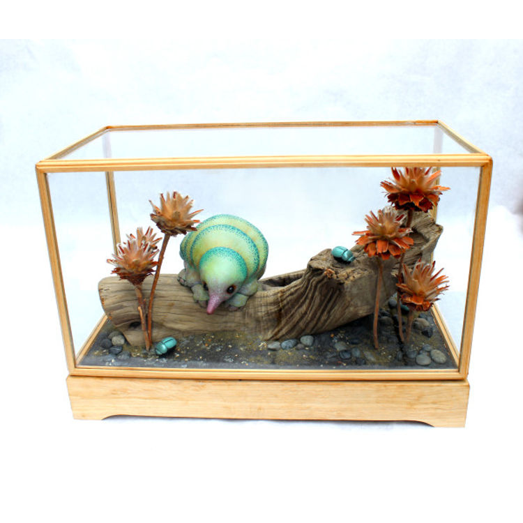 Six-Plated Tecaedin by Leslie Levings