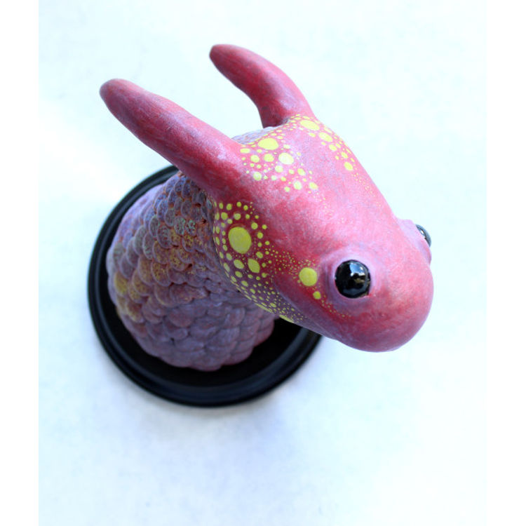 Pygmy Rainbow Mustellan by Leslie Levings