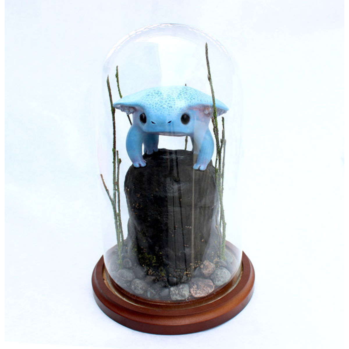 Egg-Bearing Eaves Toad