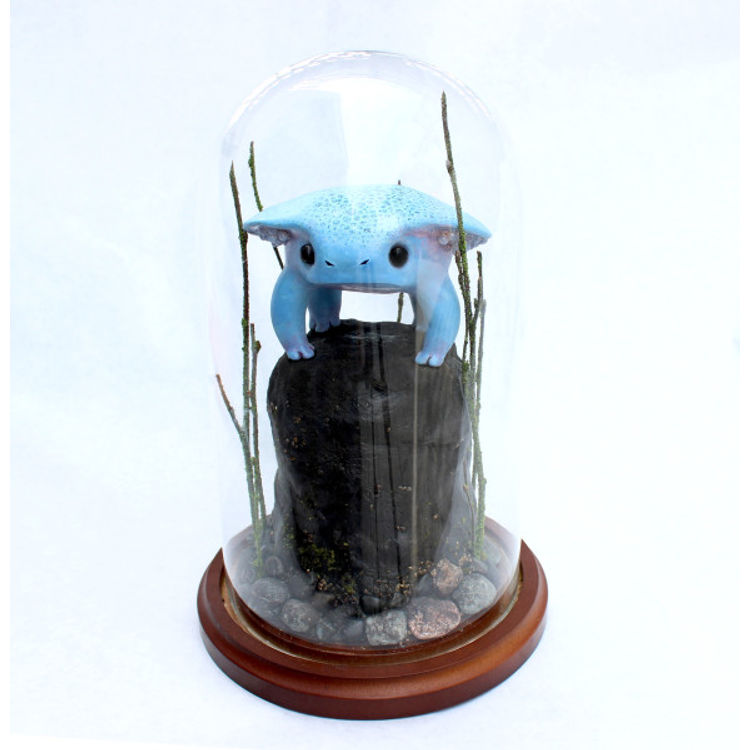 Egg-Bearing Eaves Toad by Leslie Levings