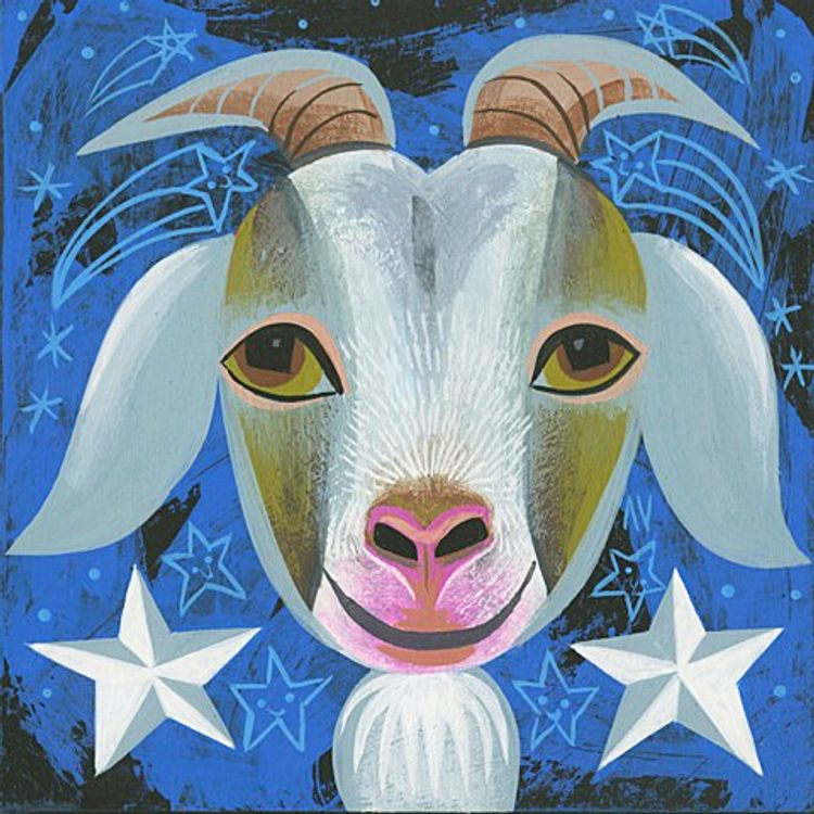 Goat Sky by Amanda Visell