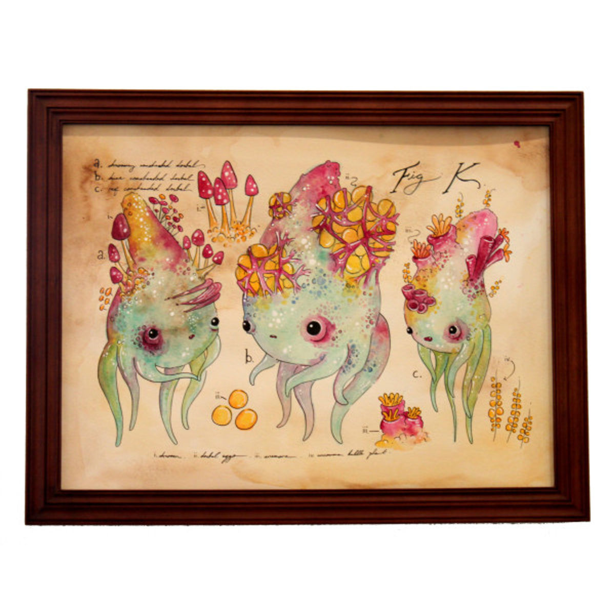 Coneheaded Dorbal Plate No. 1