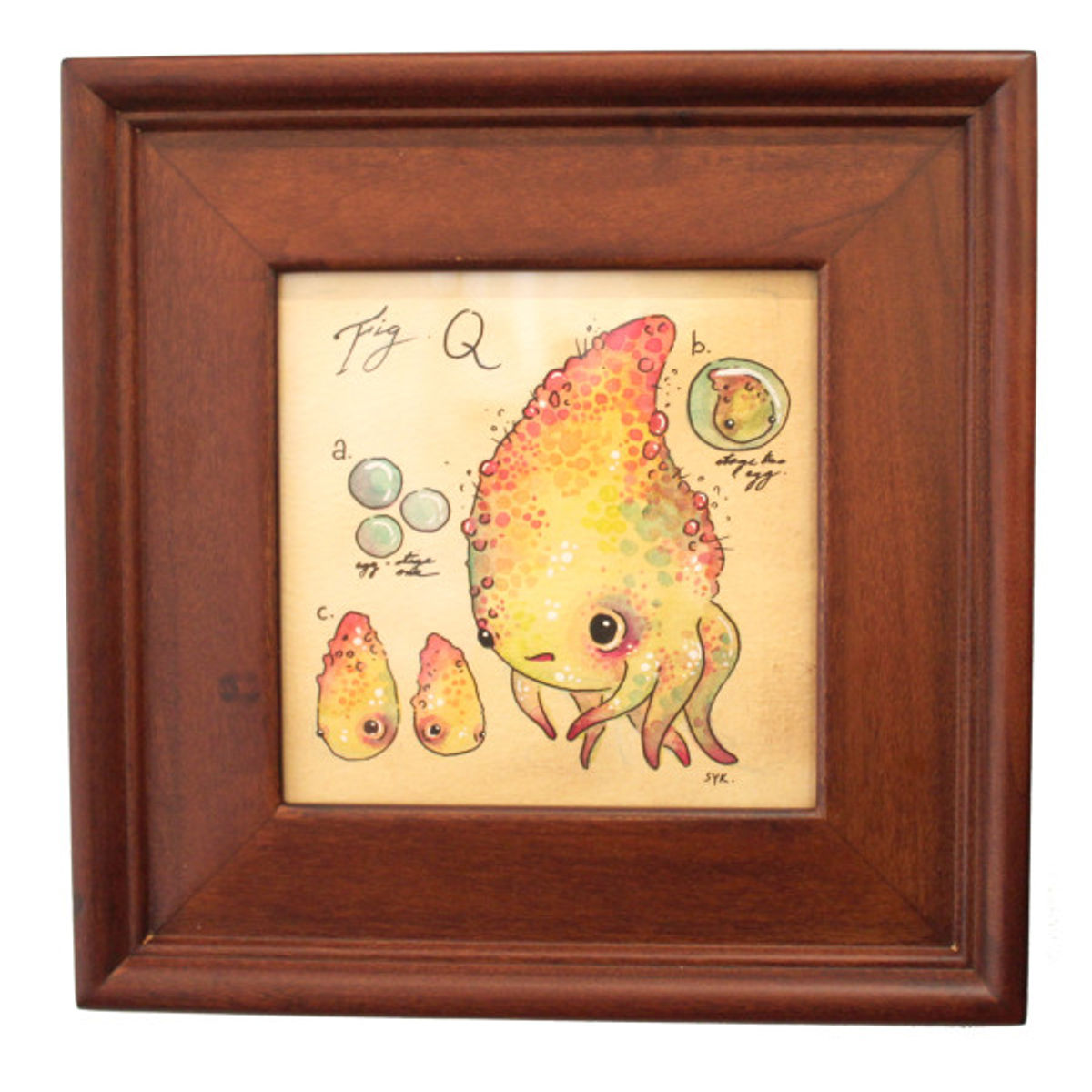 Dorbal Lifecycle Study