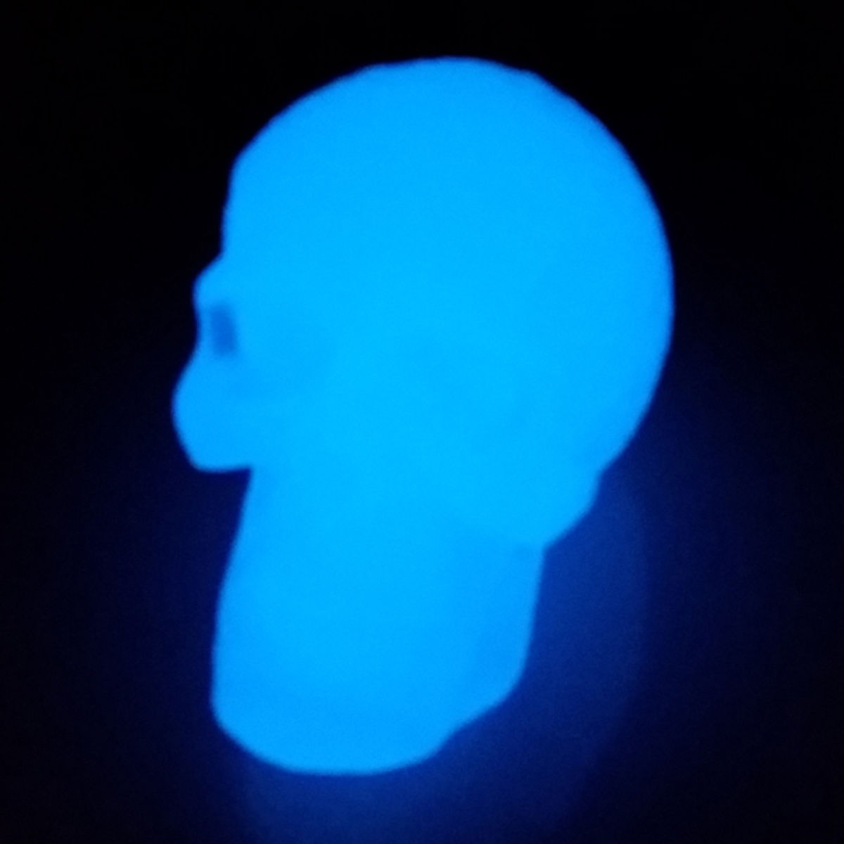GID / Kings Of Atlantis Resin Skull / Sun King