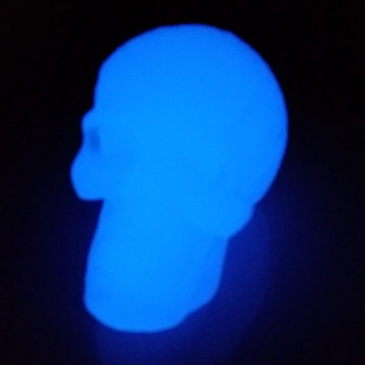 GID / Kings Of Atlantis Resin Skull / Sea King / Purple Jade