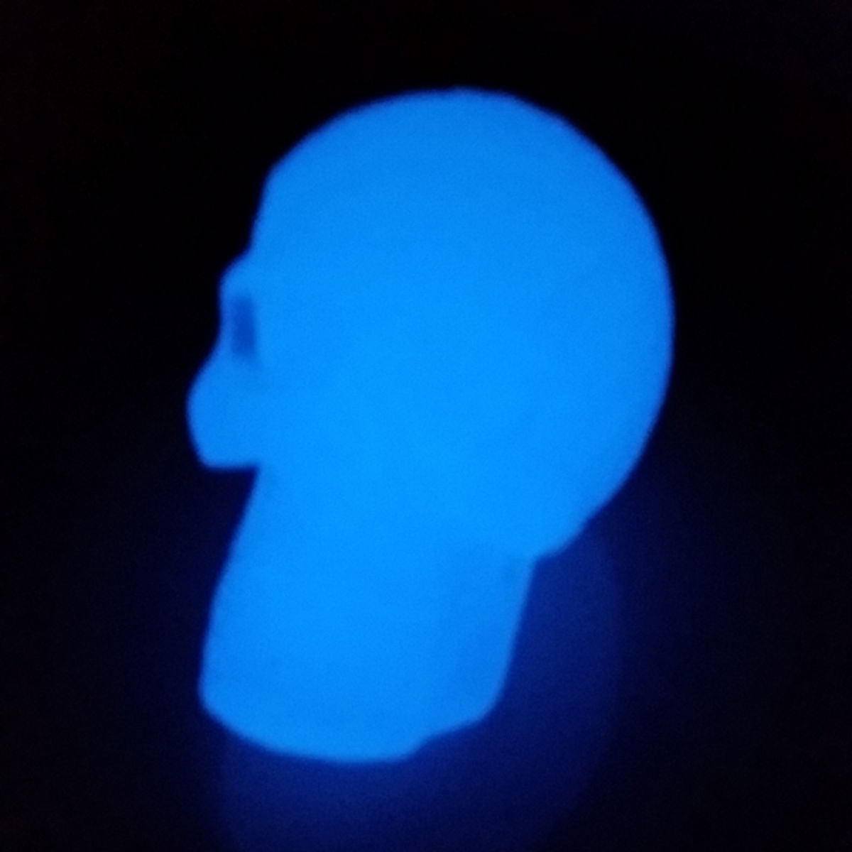 GID / Kings Of Atlantis Resin Skull / Sky King / Blue Jade