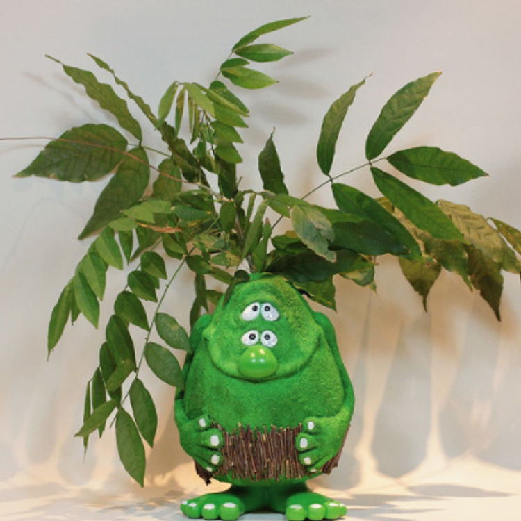 Little Moss by Koowaak403 (Shuriken jet)
