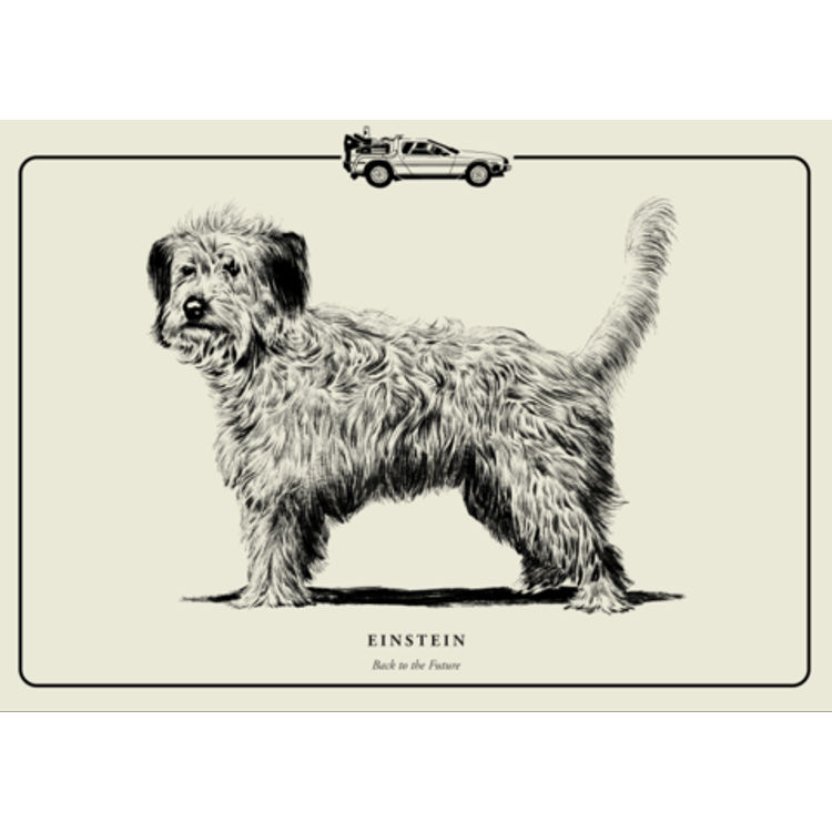 "Einstein" Print by Evanimal (Evan Yarbrough)