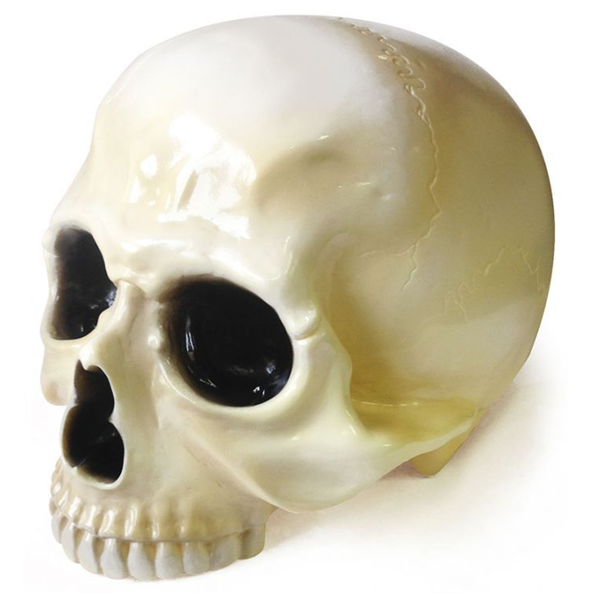 骸骨頭 1/1 SKULL HEAD - Vintage