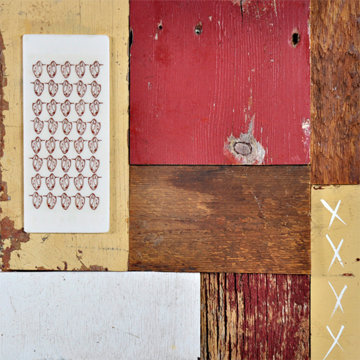 Repetition of the skull