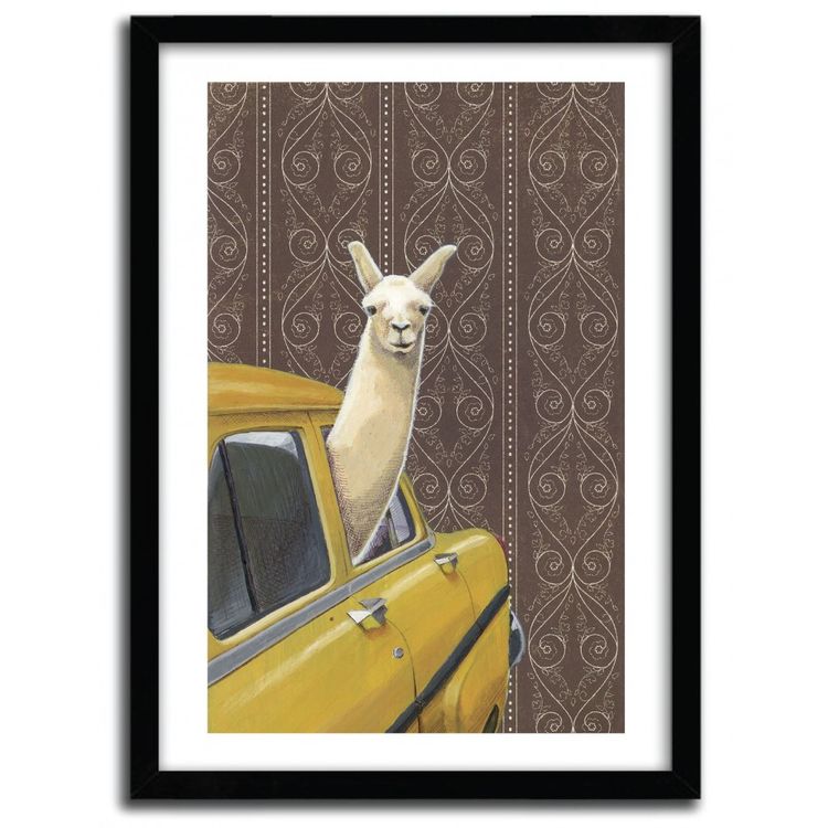 TAXI LLAMA by Jason Ratliff