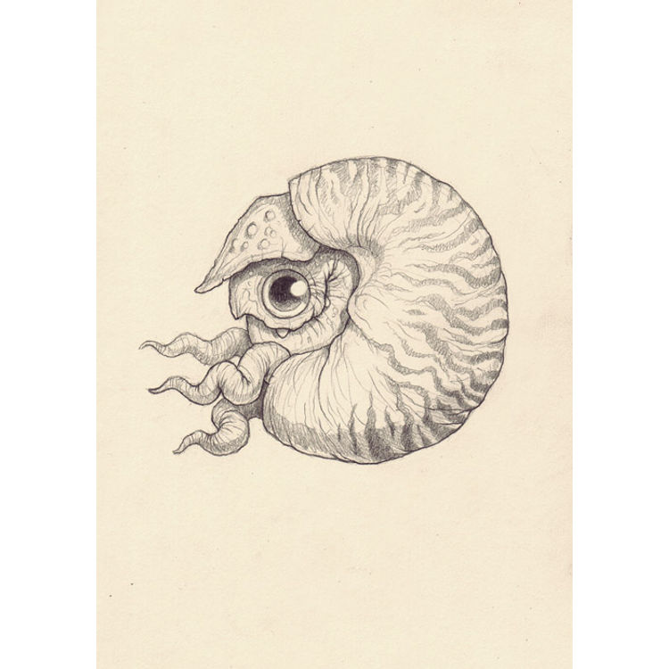 Drawing #252 by Chris Ryniak