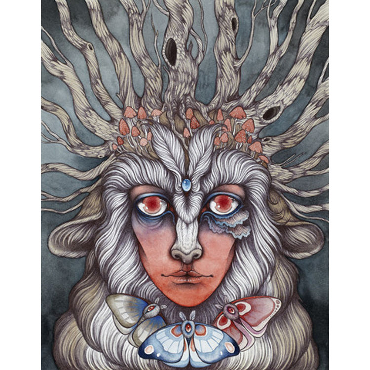 Spirit of the Forest by Caitlin Hackett