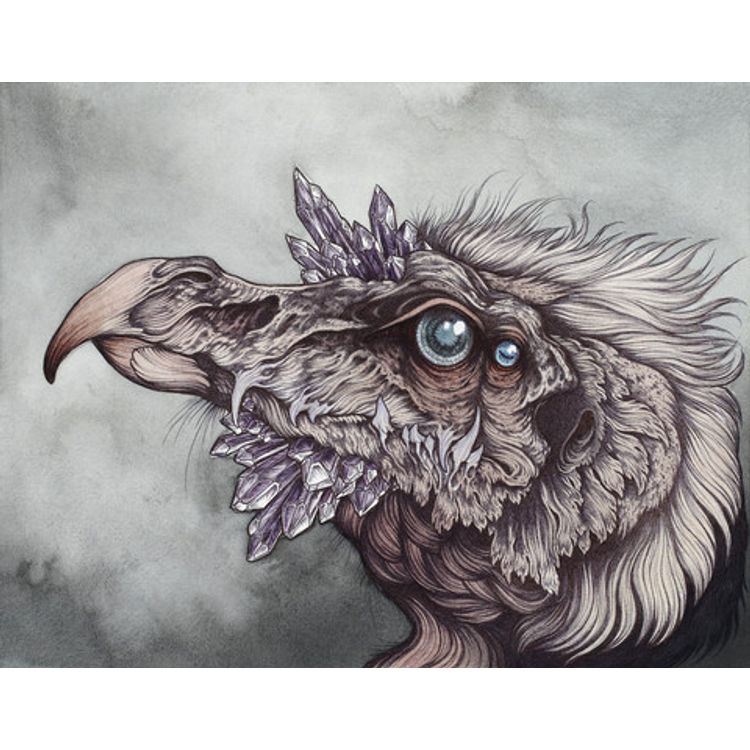 The Chamberlain by Caitlin Hackett